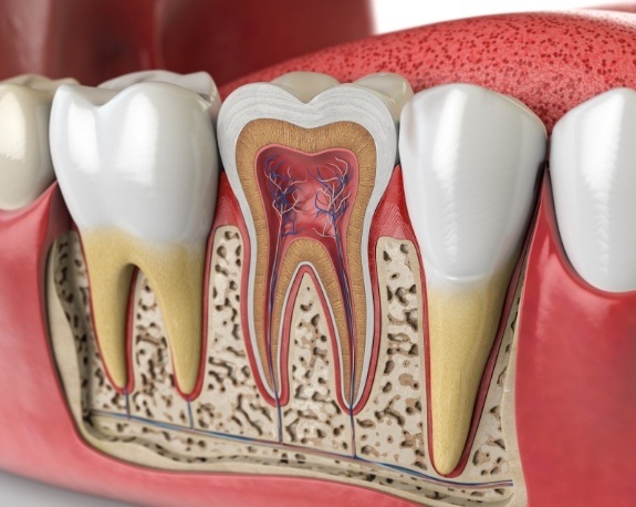 Animated tooth inside of mouth showing the nerves and root canals within it