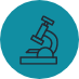 Animated microscope