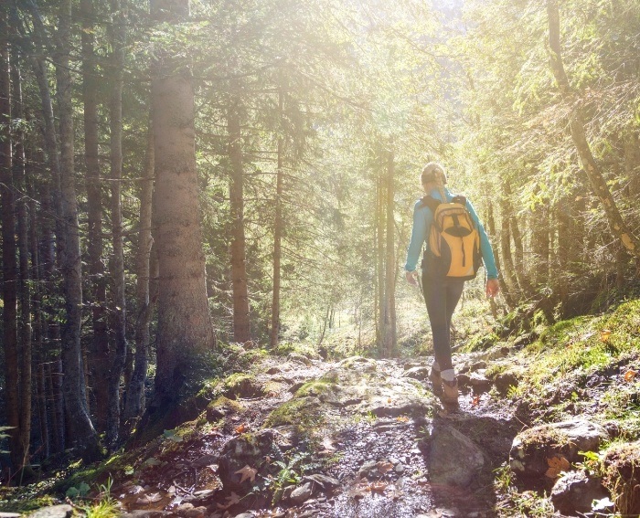 Woman hiking through forest on sunny day