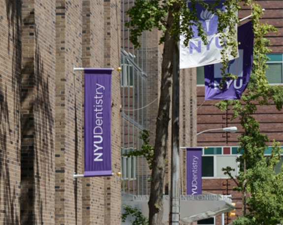 Purple flags outside of New York University College of Dentistry building